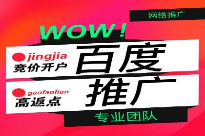 信息流广告投放公司案例解析